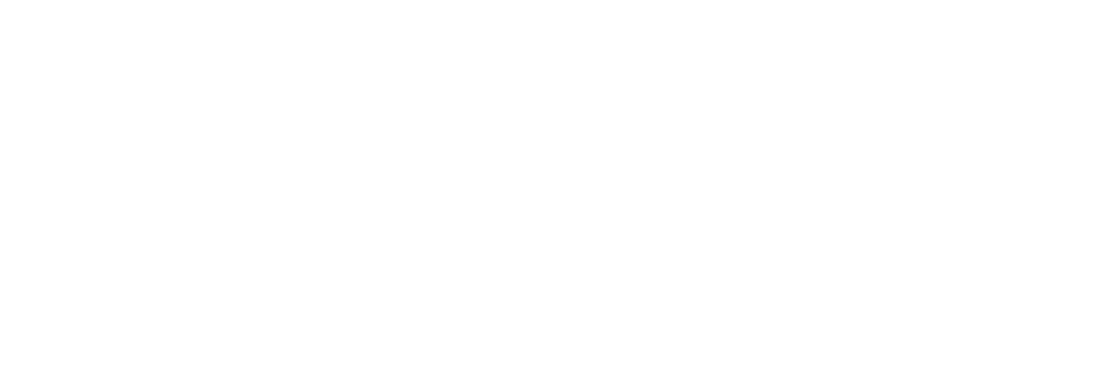 ECS Consult